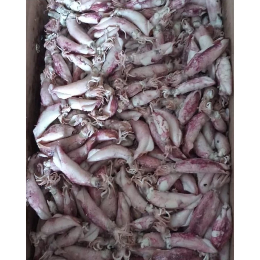 GROSIR 1KG Cumi Asin Enak Gurih Murah